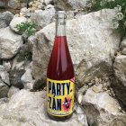 Partyzán | PÉT NAT | Laurot 2020, zemské víno Partyzán | PÉT NAT | Laurot 2020, zemské víno