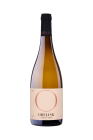 Amber wine 2019, zemské víno Amber wine 2019, zemské víno
