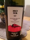 Pinot noir 2017, pozdný sber Pinot noir 2017, pozdný sber