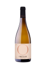 Amber wine 2018, zemské víno Amber wine 2018, zemské víno