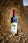 Cabernet Franc 2016, zemské víno Cabernet Franc 2016, zemské víno