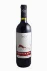 Cabernet Moravia 2018, zemské víno Cabernet Moravia 2018, zemské víno