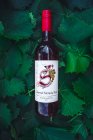 Cabernet Moravia 2018, zemské víno Cabernet Moravia 2018, zemské víno