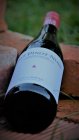 Pinot Noir 2017, zemské víno Pinot Noir 2017, zemské víno
