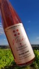 Sevar rosé 2017, zemské víno Sevar rosé 2017, zemské víno