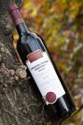 Zweigeltrebe Neronet Barrique 2009, pozdný sber Zweigeltrebe Neronet Barrique 2009, pozdný sber