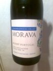 Modrý portugal 2008, pozdný sber Modrý portugal 2008, pozdný sber